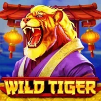 Login No Casinomia Online